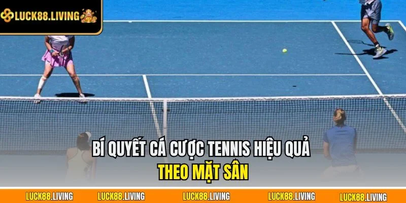Bí quyết cá cược tennis hiệu quả theo mặt sân