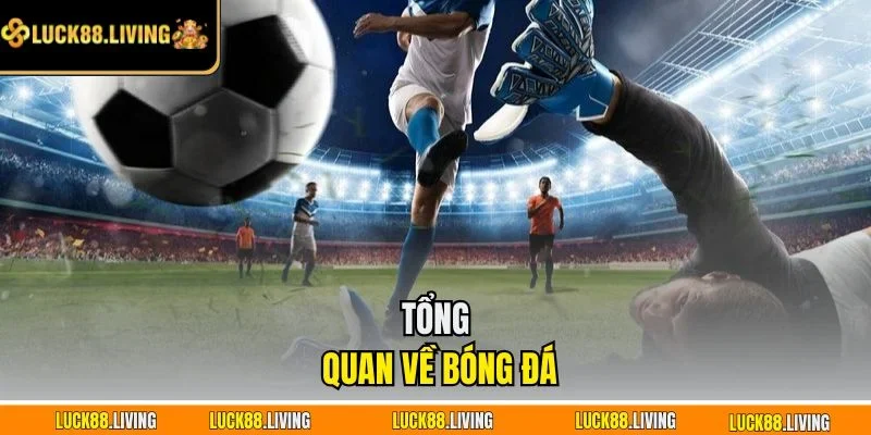 Tổng quan về bóng đá